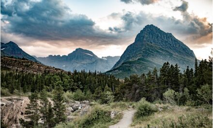 A dog and kid-friendly guide for your Glacier National Park visit