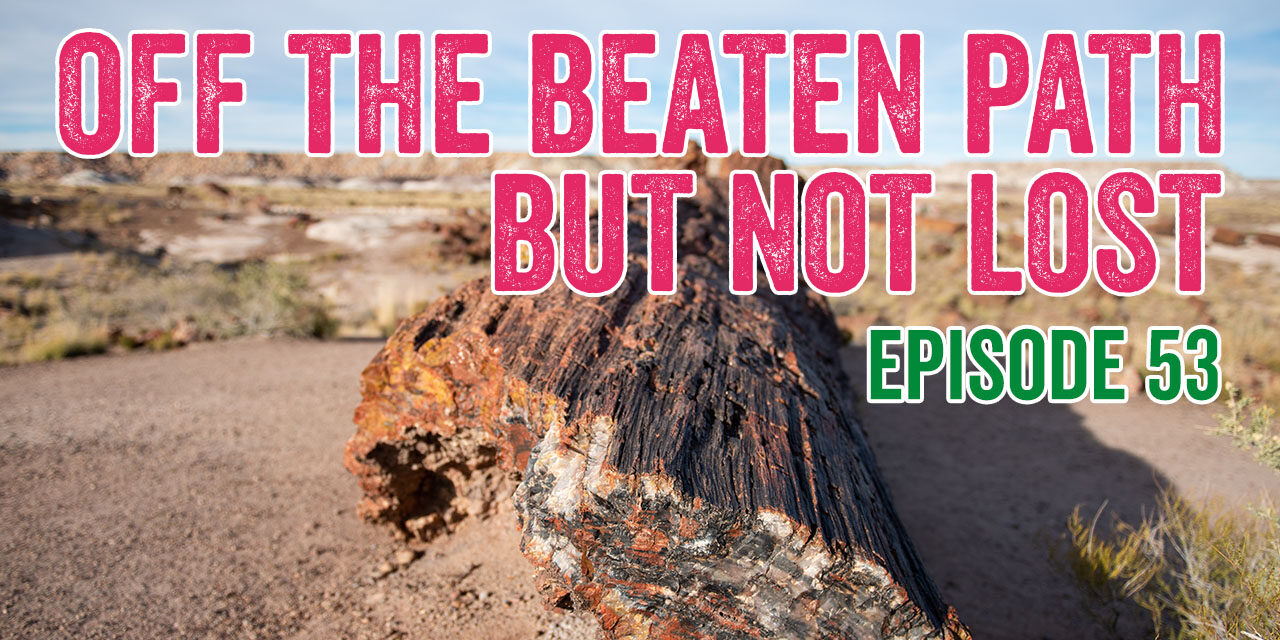 Visiting El Malpais National Monument and Petrified Forest National Park