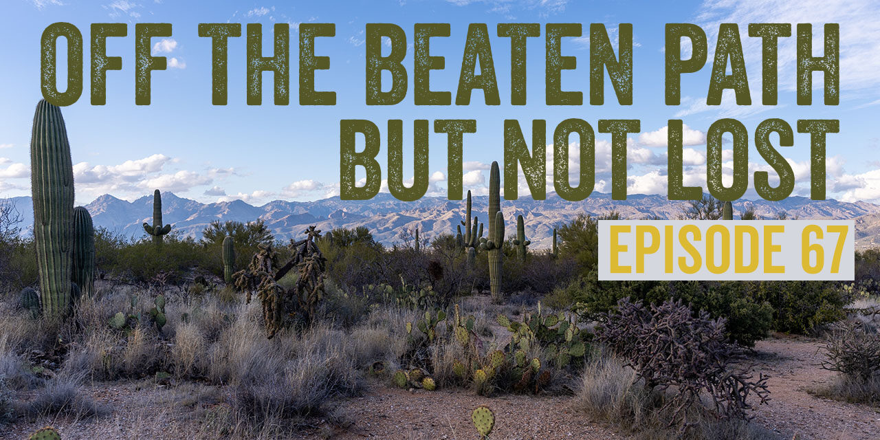 In the heart of the Sonoran: Our trip to Saguaro National Park and Organ Pipe Cactus National Monument